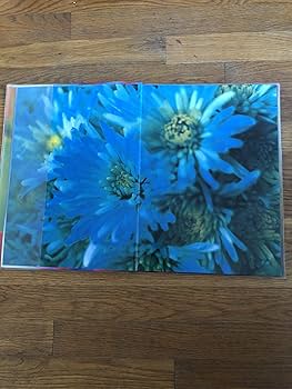 Acid Bloom アシッド・ブルーム 蜷川実花 写真集 サイン入り 初版発行 Acid Bloom アシッド・ブルーム 蜷川実花 写真集 サイン入り
